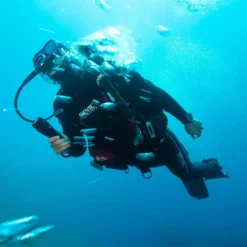 SEAC Master Dry 7 Mm Semydry Suit -Dive Pro Sales seac master dry 7 mm semydry suit 8